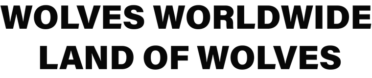 Wolves Industries JFT Premium recycled bomber jacket