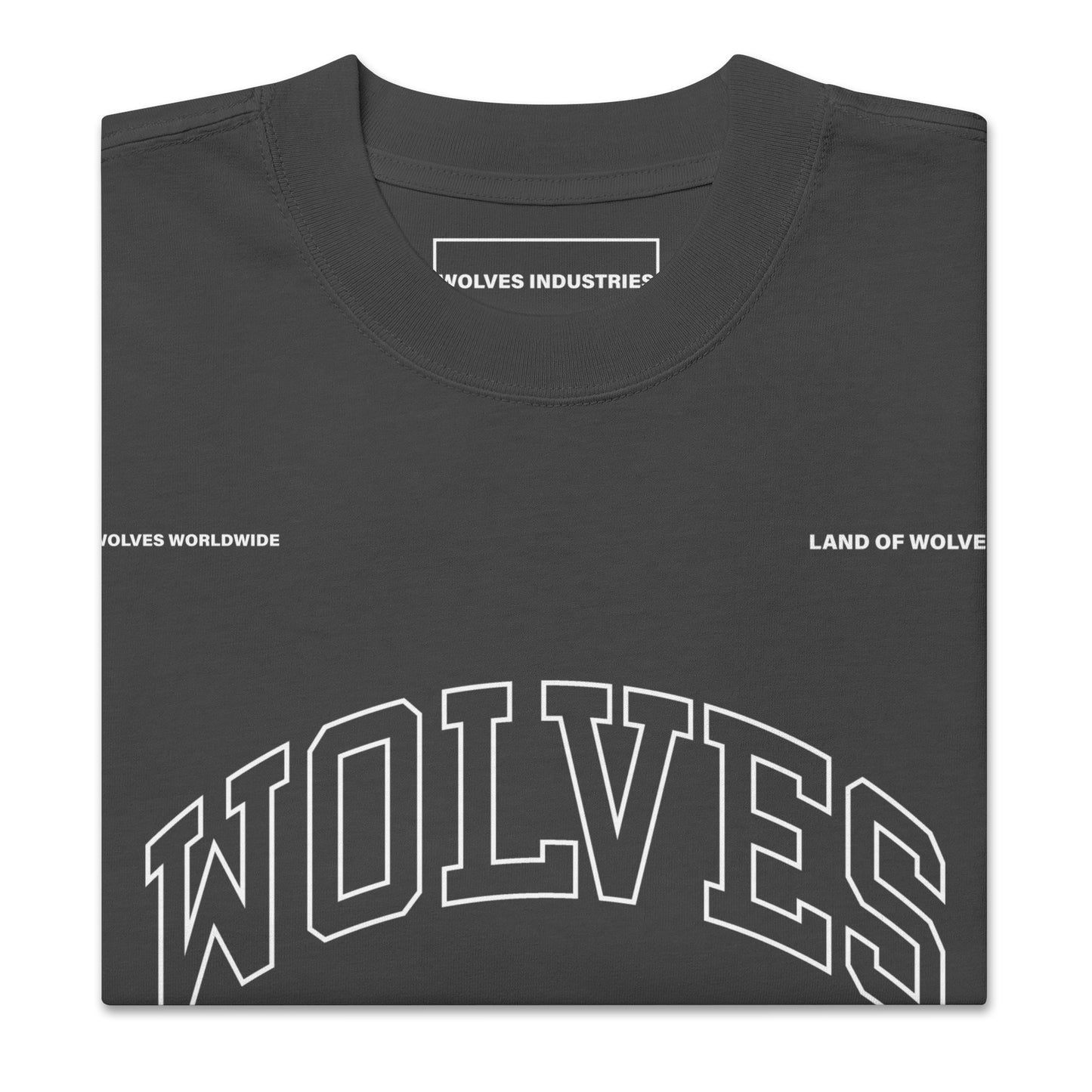 Wolves Industries A1G Oversized faded t-shirt