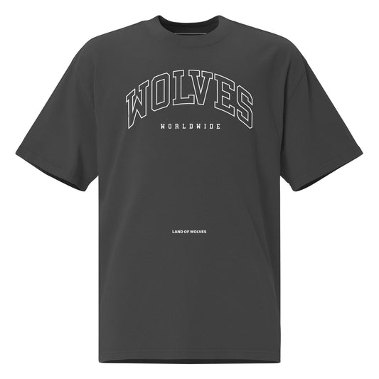 Wolves Industries WDW Oversized faded t-shirt